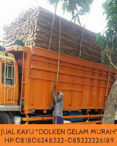 Jual Kayu Dolken murah meriah